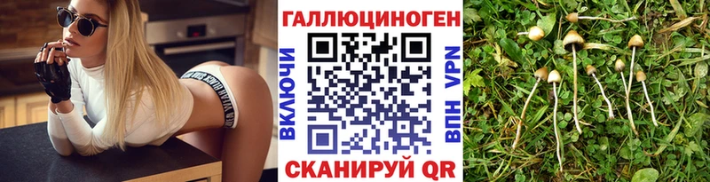 Галлюциногенные грибы прущие грибы  Купить где  Починок 